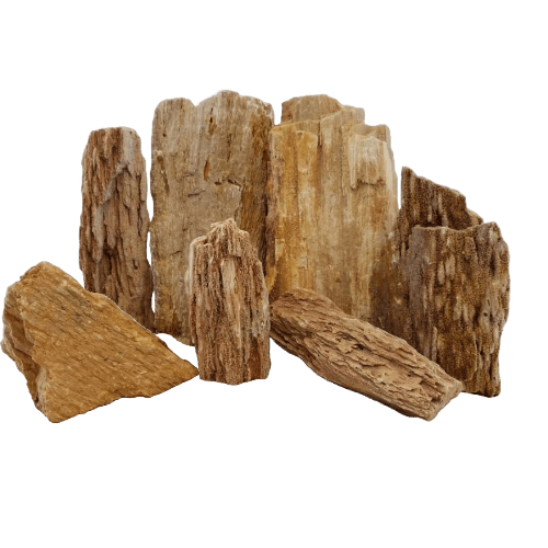 Lifegard Burma Petrified Surmese Stone – Medium