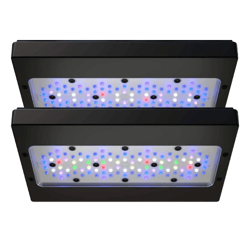 EcoTech Marine Radion Lights