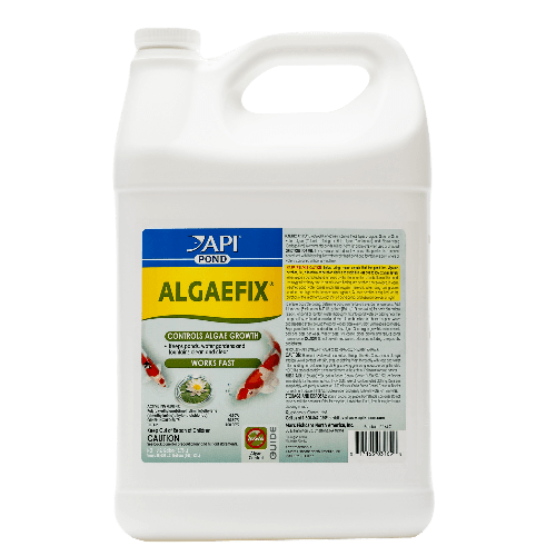 Api Pond Algaefix