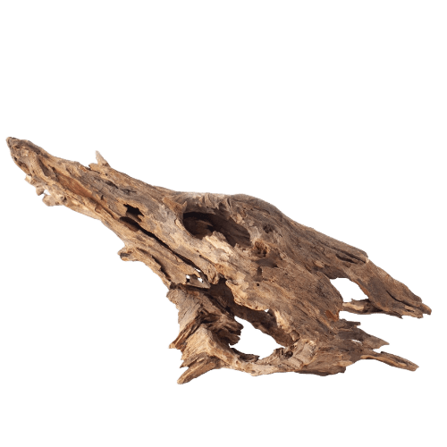 Galapagos Natural Driftwood Hollow Tree Root