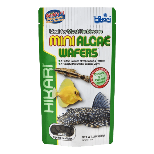 Hikari Mini Algae Wafers