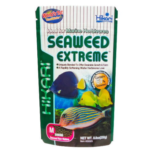 Hikari Seaweed Extreme Wafer