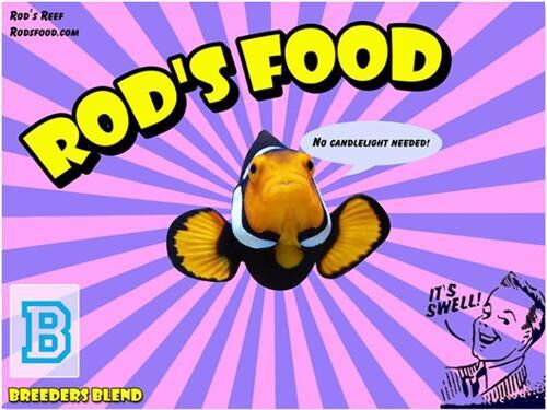 Rod’s Food Frozen Breeders Blend