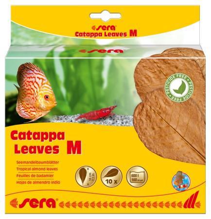 SERA Catappa Leaves