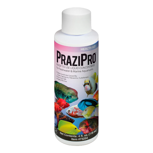 Hikari PraziPro Parasite Treatment